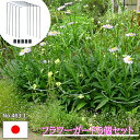 楽天ランキング獲得! 花支柱 植物支柱 5本セット 18×26 花支え 園芸支柱 日本製 ワンタッチ 倒れ防止 折れ防止 強風対策 台風対策 園芸 ガーデニング...