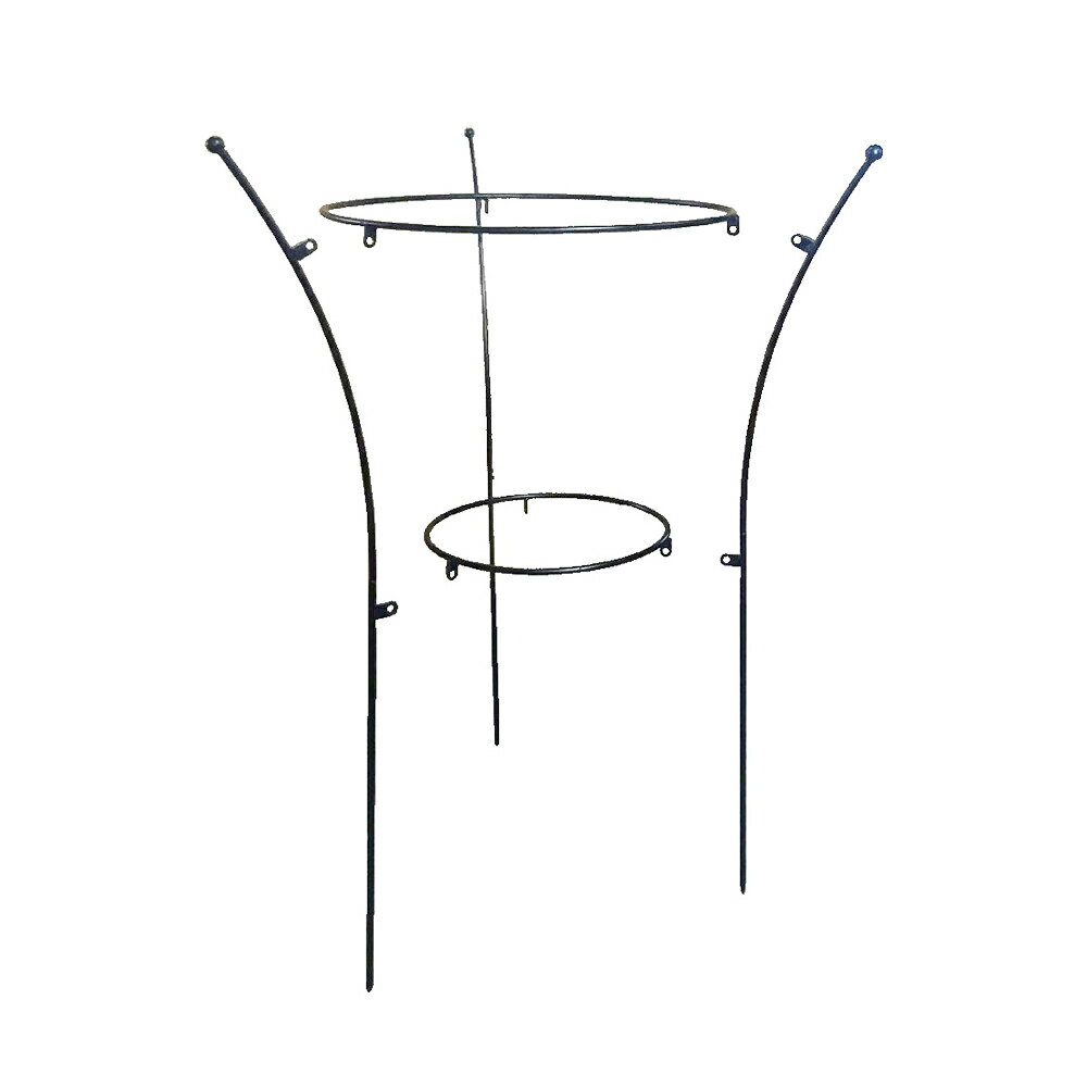 プラントサポート 花支え 花支柱 アイアン 屋外 植物支柱 日本製 No.420 小林金物 ガーデニング 菜園 組み立て 支柱 園芸 家庭菜園 園芸資材 資材 園芸用品 プランター 2