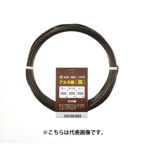 Υȥ꡼P10ܡк   100g   磻䡼 ƻ ƻ  ե󥸥 ե    ...
