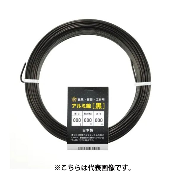 Υȥ꡼P10ܡк   300g   磻䡼 ƻ ƻ  ե󥸥 ե    ...