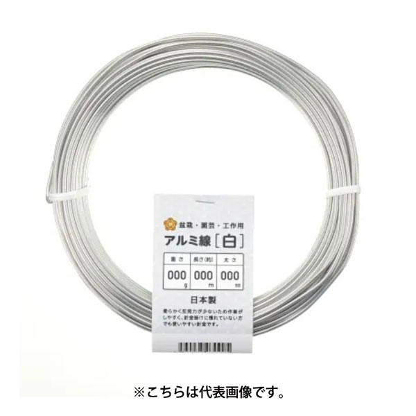Υȥ꡼P10ܡк   250g   磻䡼 ƻ ƻ  ե󥸥 ե    ...