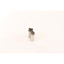 たかもり 生抜 松茸 小 #1 国産 日本製 キッチンツール 調理器具 製菓 型抜き くり抜き お菓子 お菓子作り クッキー 野菜 キッチン 手作り 野菜カッター お弁当 飾り切り キャラ弁 型 おしゃれ 可愛い かわいい 国産 日本製 キッチンツール