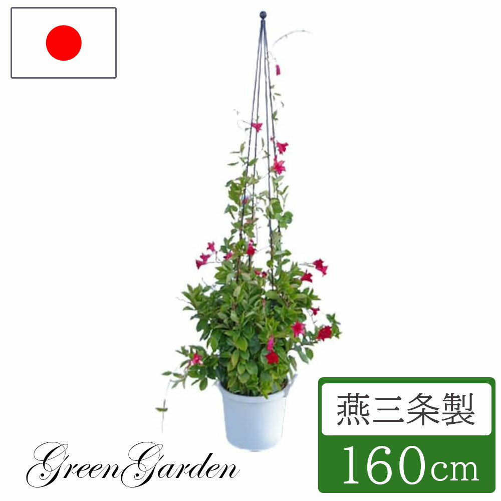 Υȥ꡼P10ܡϥȥԥ꡼ ȥԥ꡼ ʪ ⤵160cm  No.148 Ӷʪ Ͷ ĤХ Ĥ...