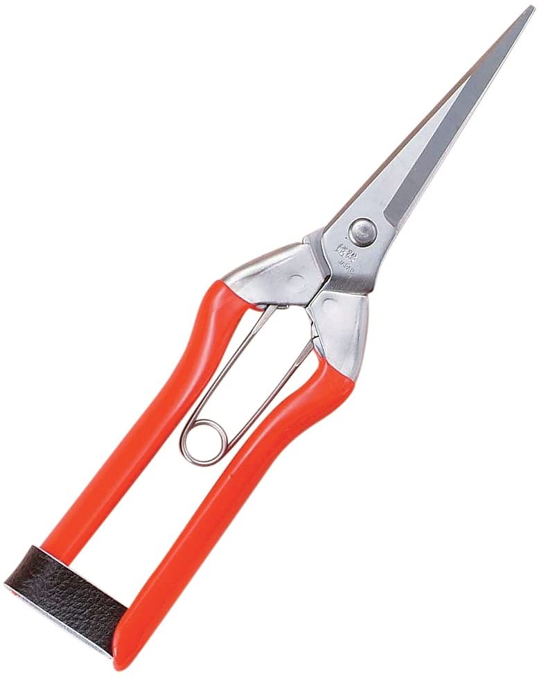 【エントリーでP5倍◆】越路 S-2 ステンレス刃長摘果鋏ステンバネ200 BP ハサミ 鋏 芽切り鋏 果物 野菜 ..