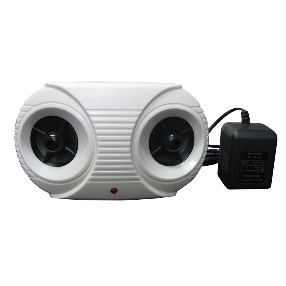 ikkyu㤨֡ڥȥ꡼P5ܢۥѥ ϥѥ ͤɽ II  ǥ˥ ͵ ͽɶ к  ɽö  Ȫ  ΢ ʪ   ǥ˥ ͵ ͽɶ к  ɽö  ȪפβǤʤ3,860ߤˤʤޤ