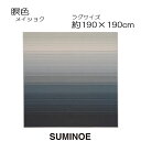 スミノエ ラグマット 瞑色 190×190cm ソライロ ネイビー メイショク 日本製 SUMINOE HOME RUG MAT