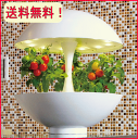 ★アカリーナ akarina01 Terrara 灯菜 LED水耕栽培器 野菜栽培キット 水耕栽培 インテリア野菜栽培 室内 家庭菜園 母の日 ギフト プレゼント ラッピング無料 - 憩いの店オアシス