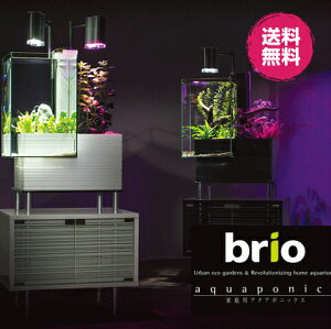 家庭用 アクアポニックス ブリオ 本体 brio 水槽 セット インテリア 循環システム ポンプ お洒落 熱帯魚