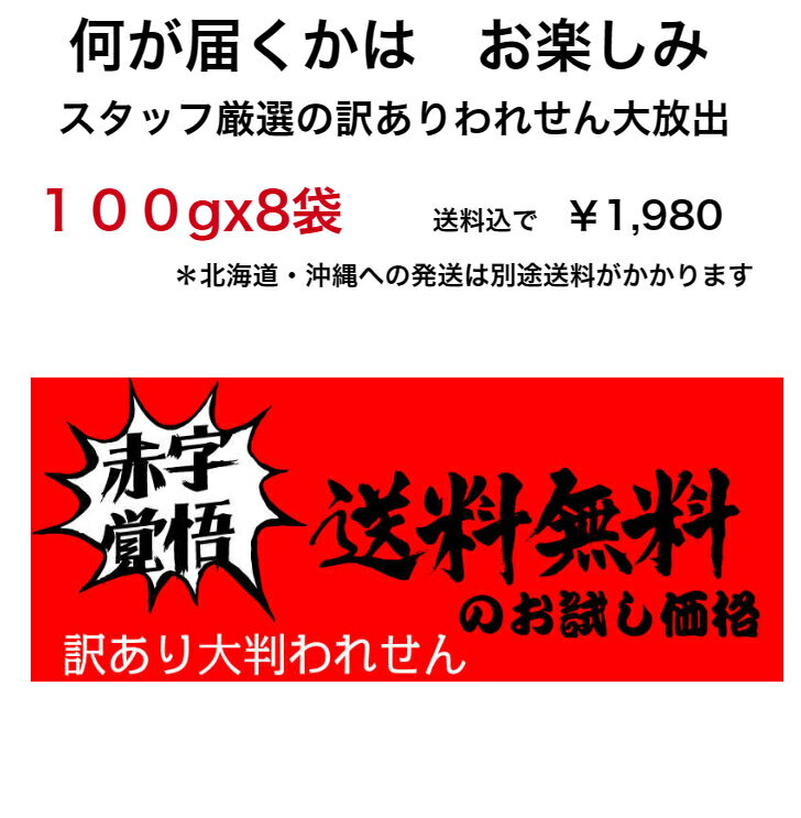工場直送 100gx8袋★ 送料無料!! できた時だけ・ある時だけ！訳あり 規格外訳あり われせん えびせん イベント プチギフト