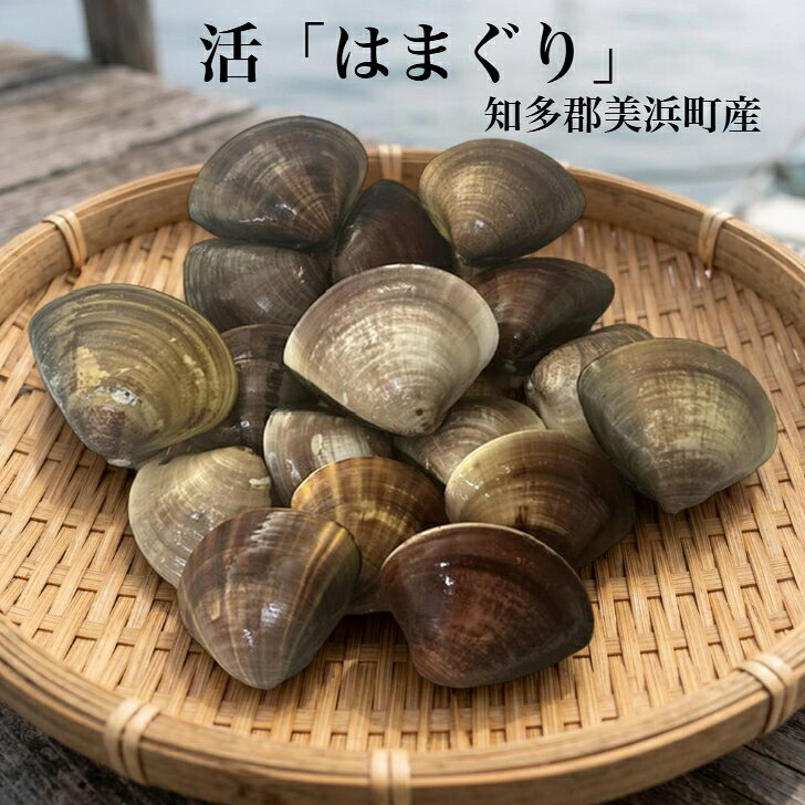 商品情報商品名活はまぐり　（美浜町産）内容量1kg純国産★知多半島・美浜の海から活「はまぐり」1kg　砂抜き済み 焼きはまぐり 酒蒸し お吸い物にも 知多半島・美浜の海から、活はまぐりをお届けします。肉厚で食べ応えのある美浜さんはまぐりを、砂抜きしてから産地から直送。焼きはまぐりや酒蒸し、お吸い物でお楽しみください。 肉厚で食べ応え満点の特大はまぐり美浜町漁業組合よりそのままお届けします 8