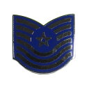 【中古】米軍 エアフォース 階級章 ピンズ ミリタリー ピンバッチ ラペルピン ピンバッジ アメリカ