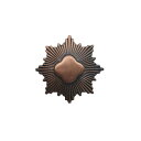 【中古】ガールスカウト Bronze Award ピンバッジ ブローチ ピンバッチ アメリカ輸入雑貨