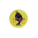 【中古】ミュージシャン VANILLA ICE ヴァニラ・アイス レトロ 缶バッジ ミュージシャン 雑誌 BIG! ビンテージ 缶バッチ ピンバッチ