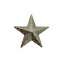 【中古】スター アワード ピンズ アメリカ輸入雑貨 ラペルピン バッチ バッジ