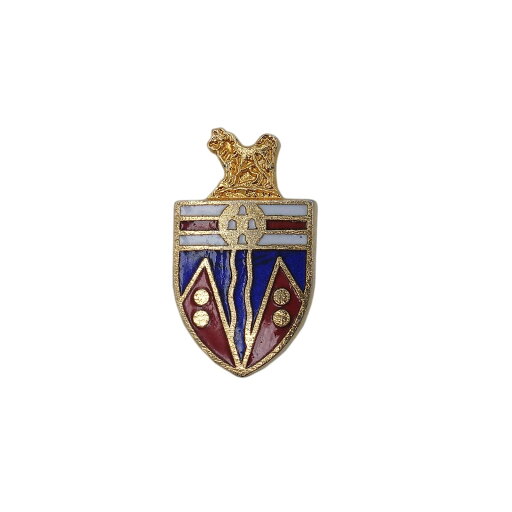 【中古】アメリカ Yukon ユーコン準州章 ピンズ 地域 ピンバッチ 紋章型 ラペルピン バッジ 【中古】アメリカ Yukon ユーコン準州章 ピンズ 地域 ピンバッチ 紋章型 ラペルピン バッジ