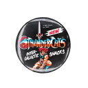 【中古】THUNDERCATS サンダーキャッツ レトロ 缶バッジ イギリス輸入雑貨 ビンテージ ピンバッジ 缶バッチ