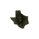 アメリカから入荷しました、ビンテージピンズ。 TEXAS アルマジロ。 金属の留め具付き。 縦　約1.9cm 横　約1.9cm ＞＞　ピンズを探す。 ＞＞　ブローチを探す。 ＞＞　キーホルダーを探す。