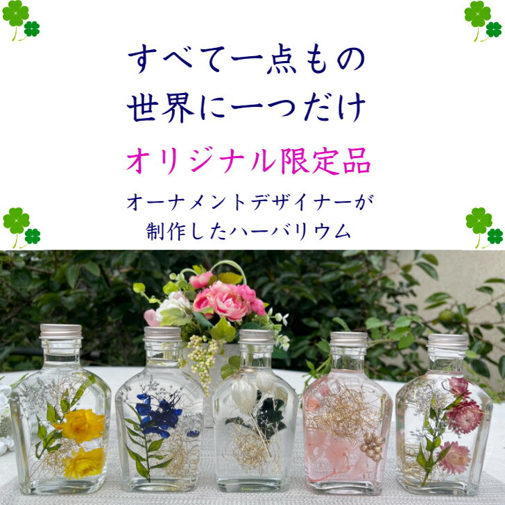 �ϡ��Хꥦ��֥롼 ���եȥץ쥼��� ���եȤ��ˤ� ���� ���쥤 ��ʪ ����ƥꥢ ���� ���� ����� ���� �ɥ饤�ե� �� ������� ǻ�� �� ������ ��ǰ�� ������ �л��ˤ� 2 0�� 30�� 40�� 50�� ������ �ӥ塼�ƥ������ꥸ�ʥ� ����Ū