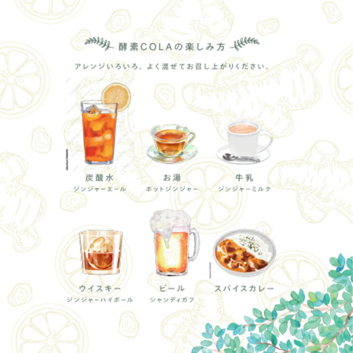 【管理栄養士監修】酵素コーラ クラフトコーラ ...の紹介画像3