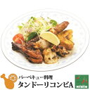 タンドーリ・コンビA 冷凍 無水調理 北海道 札幌の老舗インドカレー専門店 ミルチ 肉料理 サイドメニュー