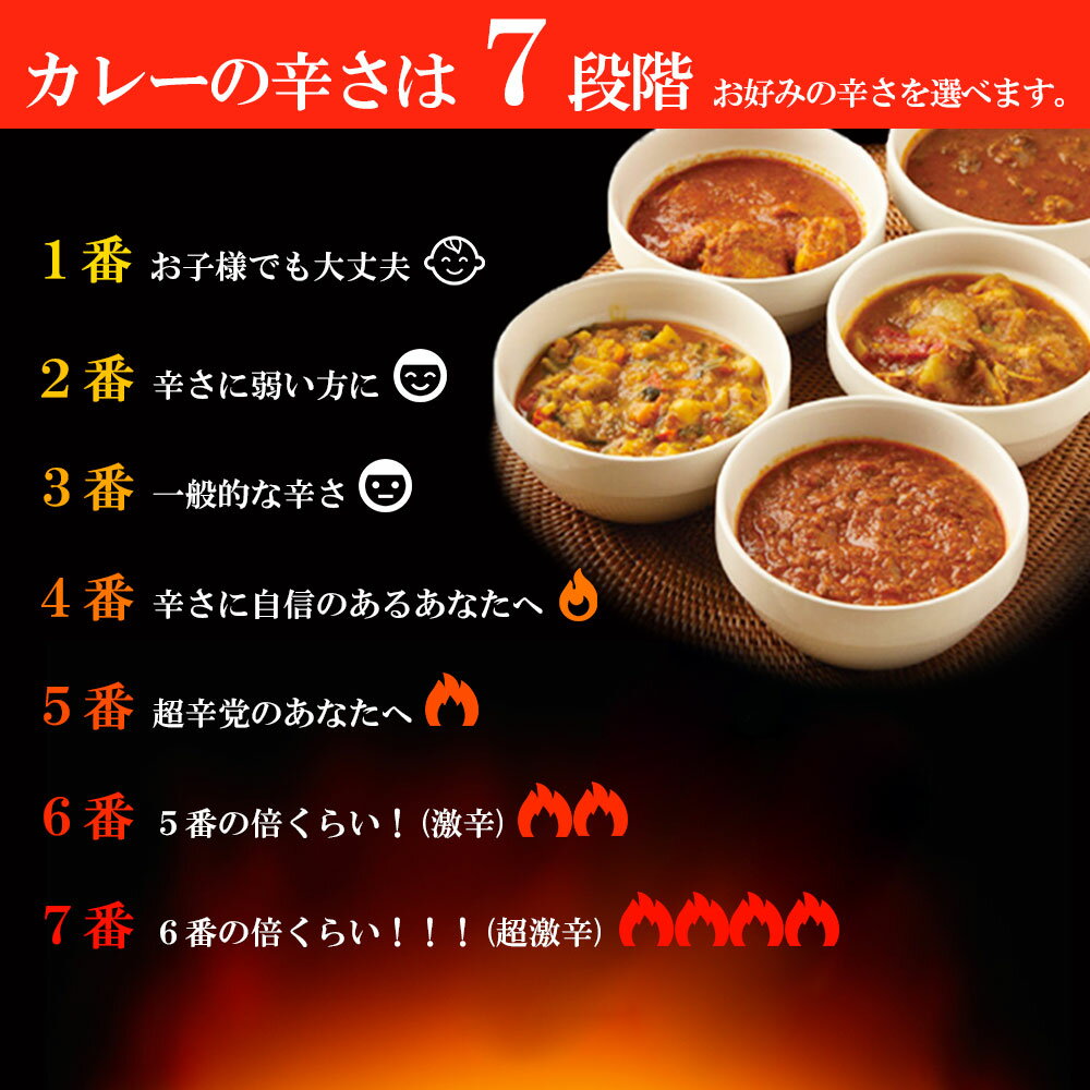 辛さを選べるインドカレー チキンカレー 野菜水分100% 無水調理 北海道 ミルチ 札幌の老舗インドカレー専門店