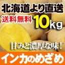 【新じゃが 予約販売】じゃがいも 【 インカのめざめ 10kgセット 北海道産 】 煮崩れ少なく甘みのある小ぶりな品種