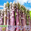 ※当店からのお願い セットの重量に多少の誤差がある場合もございます事ご了承下さいませ。 紫アスパラ 3Lサイズ 北海道産 内容量 紫アスパラ （サイズ3L）約1kgあたり(19本～22本) のし 対応しています。 備考欄に、詳細をご記入ください。 生産地 北海道産 北海道産新鮮アスパラ サイズ色々！新鮮そのままお届けします！バーベキュー、茹で、バター炒めなど美味しくどうぞ。 お買い物ガイド アスパラガスは、さまざまな方法で調理することができ、多くの料理に合わせることができます。 簡単にご紹介しますので参考ください。 ●グリルしたアスパラガスサラダ：アスパラガスをグリルしてサラダに加える。トマト、アボカド、レタスなどを加えて味を調えます。 ●アスパラガスのスープ：アスパラガスを茹でて、ブレンダーで混ぜてスープにします。クリームやチーズを加えてコクを出すことができます。 ●パスタのトッピング：茹でたアスパラガスをパスタの上にのせ、オリーブオイルやパルメザンチーズを加えて、味を調えます。 ●ローストしたアスパラガス：アスパラガスをオリーブオイルやバターでローストして、レモン汁をかけて味を調えます。 ●アスパラガスの天ぷら：アスパラガスを天ぷらにして、ポン酢や塩、天つゆで食べます。 ●アスパラガスのリゾット：アスパラガスをスライスして、リゾットに加えて、パルメザンチーズを加えて、コクを出します。 ●アスパラガスのキッシュ：アスパラガスをスライスして、キッシュに加えて、卵、生クリーム、チーズ、ハーブなどを加えて焼きます。 アスパラガスは、他にもサラダ、スープ、グラタン、ピザ、オムレツ、ジュース、ドリンクなど、さまざまな料理に使うことができます。 農家の生産状況及びストック状況により、ご注文ができる状態でも予告なく終売となる場合がございます。何卒、ご了承下さい。味と食感、見た目の楽しさにこだわった極太3Lサイズ パープルアスパラガス 北海道の美味しいアスパラをお届け致します♪ 北海道の紫アスパラガスが美味しい理由 紫アスパラは収穫量が少なく希少な品種です。 グリーンに比べて糖度がとっても高く、大変甘くて、美味しいと評判のアスパラです。 ビタミンCやアントシアニンが多く含まれる健康野菜でもあります。 北海道アスパラガスラインナップ 当店では、金額のわかる書類などは一切同封しておりませんので、ご安心ください。