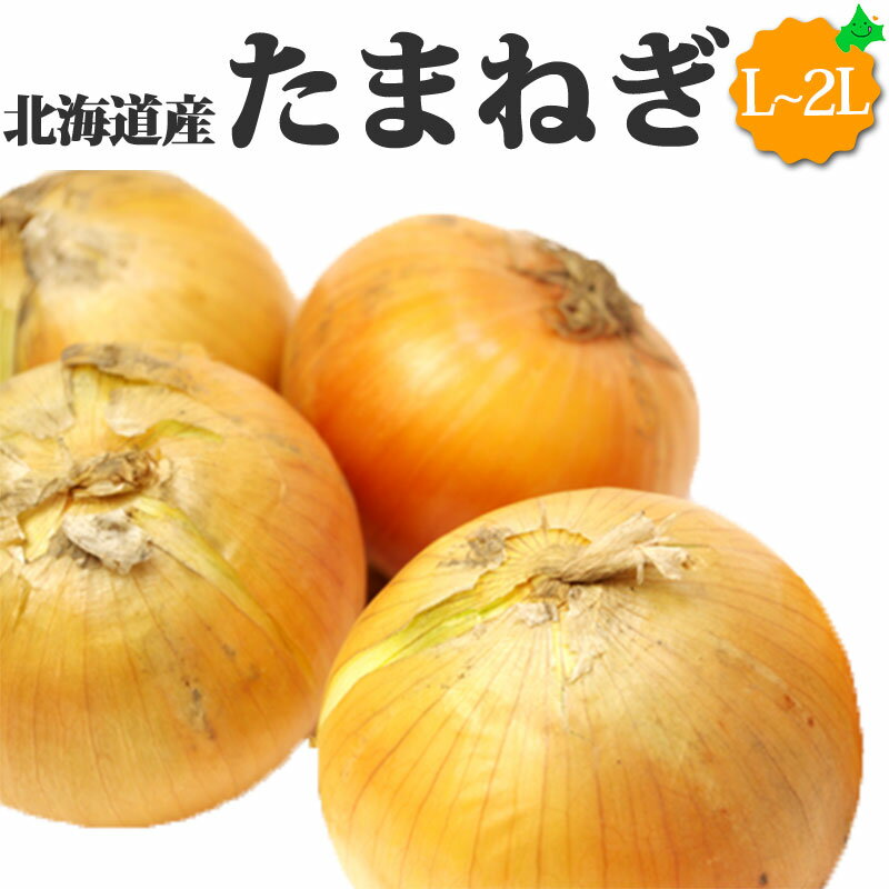 たまねぎ 北海道産 L～2Lサイズ 玉ねぎ 玉葱 野菜 贈り物 北海道 ギフト 秋の味覚 バーベキュー BBQ 農産物