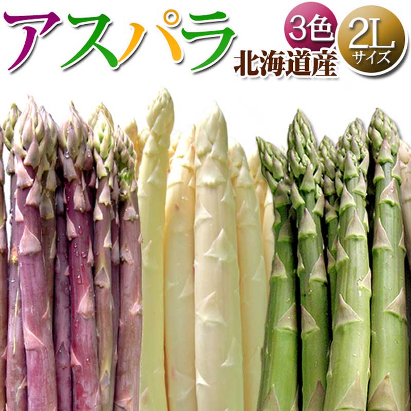 【予約販売】アスパラガス 北海道産 アスパラ 3色 ( グリーン ホワイト パープル )2L 合計1kg