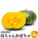 坊ちゃんかぼちゃ(緑)12個セット 北海道産 ミニかぼちゃ