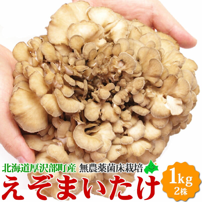 舞茸 えぞまいたけ 1kg（2株） 北海道産 無農薬 菌床栽培 きのこ マイタケ 北海道 蝦夷 キノコ 食材 野菜 ギフト 内祝い 取り寄せ お取り寄せ 無農薬野菜 食べ物 冷蔵 まいたけ 北海道土産 国産 花以外 2023 お歳暮 御歳暮 冬ギフト