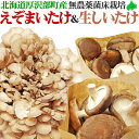 えぞまいたけ(舞茸)・生しいたけセット 北海道産