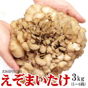蝦夷 舞茸 えぞ まいたけ 3kg(5〜6株) 無農薬 北海道産 厚沢部町 まいたけ 送料無料 無農薬 国産 きのこ マイタケ キノコ 北海道 食材 野菜 ギフト 取り寄せ お取り寄せ お土産 内祝 お返し 贈り物 無農薬野菜 お礼 食べ物