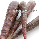 紫にんじん 紫人参 ニンジン 北海道産 野菜セット