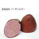 ノーザンルビー 10kg じゃがいも 北海道産 贈り物 内祝 お返し ギフト 送料無料 バーベキュー BBQ