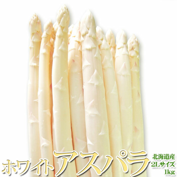 【予約販売】ホワイトアスパラ 2L 北海道産 1kg ホワイト アスパラガス 白 アスパラ お取り寄せ お取り寄せグルメ 食品 野菜 道産野菜 低農薬