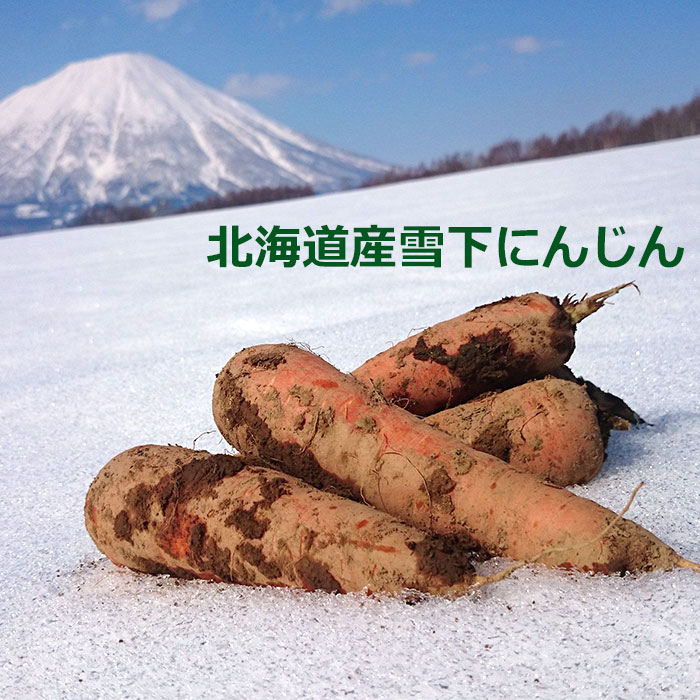 雪下にんじん 3kg 北海道産 雪下人参 越冬人参のサムネイル