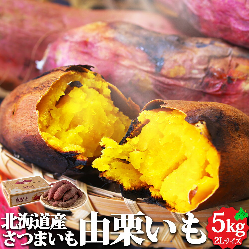 由栗いも （ ゆっくりいも ） 約5kg 2Lサイズ 北海道産 さつまいも 送料無料 薩摩芋 贈り物 内祝い お返し ギフト 焼き芋 焼芋 やきいも 紅あずま ベニアズマ お取り寄せ ご当地 グルメ 産直 野菜 いも 芋 由仁町 栗山町 農産物のサムネイル