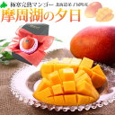北海道産マンゴー 摩周湖の夕日 甘くとろける北の果実|完熟 産地直送 ギフト 贈り物に【お取り寄せ】 母の日