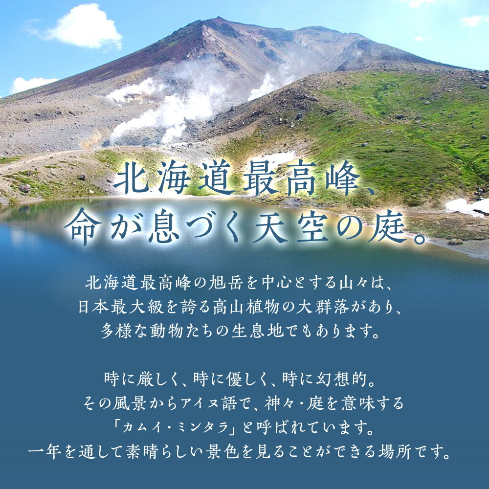 サンプル画像3