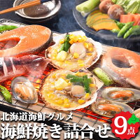 海鮮焼き詰合せ 9点セット 送料無料 贈り物 ギフト 北海道 海鮮 グルメ 冷凍 お取り寄せ 北海道ギフト 一人暮らし 焼くだけ バーベキュー お土産 手土産 サーモン 帆立 いか プレゼント 2023 お歳暮 御歳暮 冬ギフト