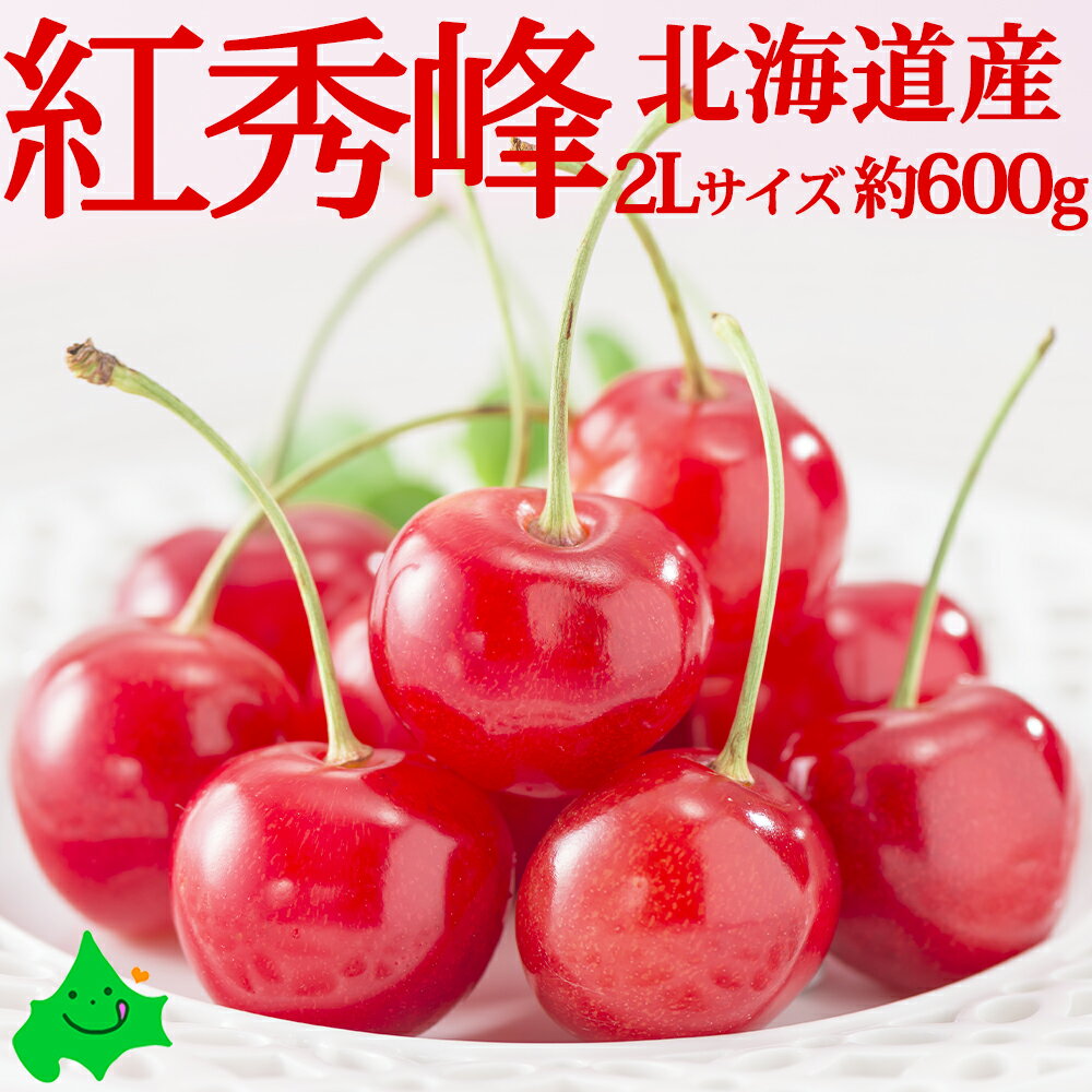 ＼26日23:59までポイント5倍／さくらんぼ 紅秀峰 秀品 2Lサイズ 約600g 北海道 仁木産 送料無料 超高級品種 北海道産 果物 北海道産 フルーツ 贈り物