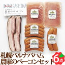 農家のベーコン 6点セット FBA-CN 札幌バルナバハム
