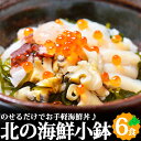 北海道 海鮮セット 北の海鮮小鉢 6種セット ごはんに乗せてミニ海鮮丼に! 甘えび ほたて つぶ いか たこ ほっき 6食 小鉢 海鮮 冷凍 グルメ ギフト 北...