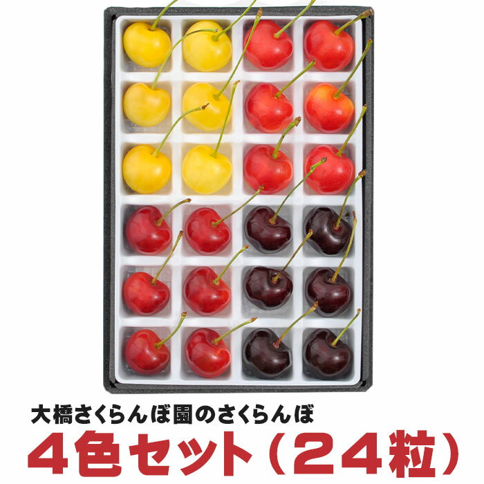 【 数量限定 】 大橋さくらんぼ園のさくらんぼ 4色セット 24粒(各6粒) 送料無料 南陽 紅秀峰 月山錦 サミット 特秀品 北海道 芦別産 ギフト お中元 フルーツ スイーツ お取り寄せ お取り寄せフルーツ 贈物 内祝い 大橋さくらんぼ園 お買い物マラソン