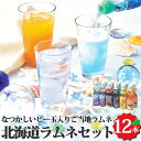 北海道ラムネ 12本セット ビー玉入り瓶 送料無料 ラベンダー ハスカップ メロン とうきび 贈り物 ギフト お取り寄せ 北海道 常温 ラムネ ドリンク NR-12A 野島製菓 お返しもの お返し物 お中元 ギフト