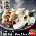 北海道産青つぶ・かきセット 各500g×2個 合計2kg ヤマヘウミヘ 青つぶ つぶ 螺 かき 牡蛎 贈り物 ギフト セット 北海道産 北海道 お取り寄せ 海鮮 海産物 創夢