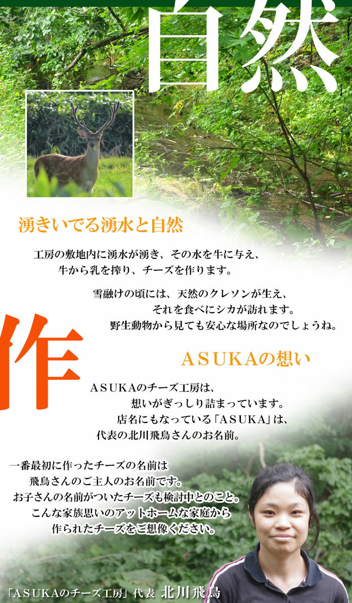 【 ストリング ドライトマト 80g 】ASUKAのチーズ工房 チーズ 北海道 むかわ町 生産 ご自宅用 単品販売 北海道産 お土産 無添加 ワイン おつまみ 乳製品 国産 お取り寄せ お取り寄せグルメ 北海道土産 食品 食べ物 無添加食品