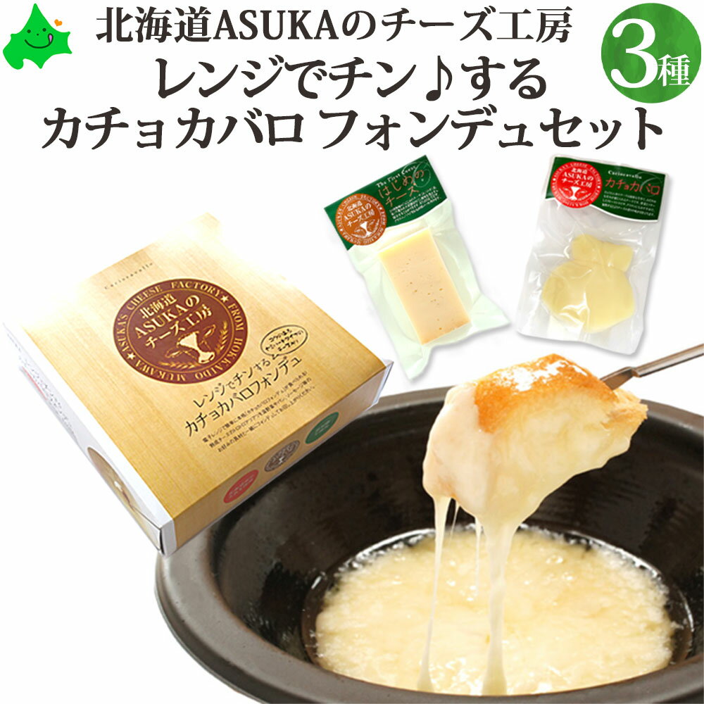 北海道 【 カチョカバロ フォンデュ セット はじめのチーズ入り 】 ASUKAのチーズ工房 無添加 送料無料 チーズフォンデュ 贈り物 ナチュラルチーズ 北海道チーズ チーズギフト グルメ 詰め合わせ お返し お返しもの 内祝 お祝い返し