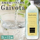 シリカ 天然水 Gaivota ガイヴォータ 2L×12本(2ケース) 北海道産 乙部町 軟水 ミネラルウォーター シリカ水 ケース販売 お水 飲料水 湧き水 北海道 乙部町 命水乙部ボトラーズ